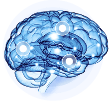 Brain picture